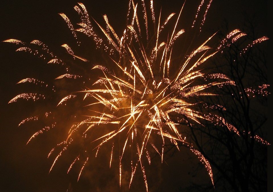 Gott nytt år!
